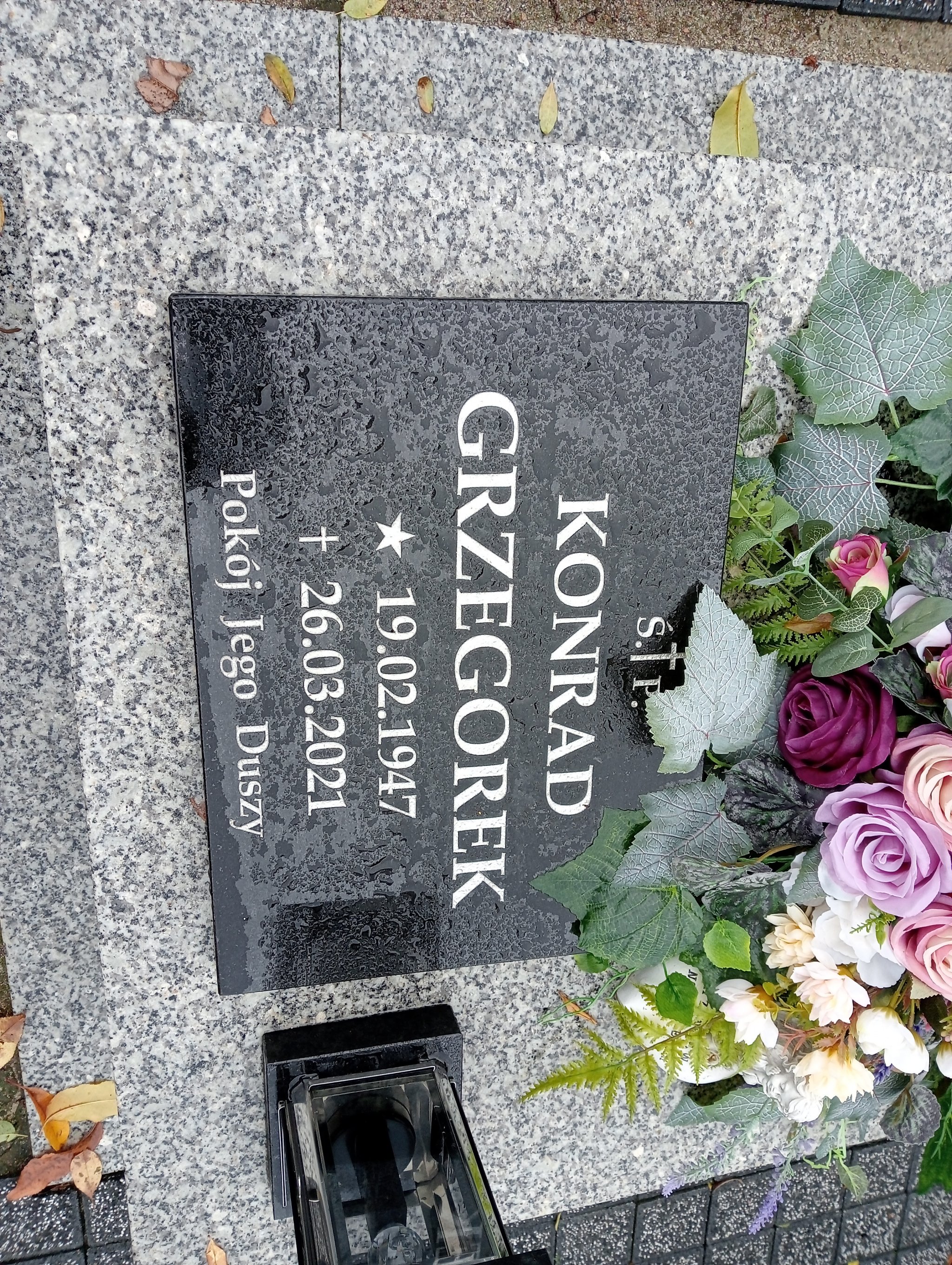 Tadeusz Markiewicz Pleszew - Grobonet - Wyszukiwarka osób pochowanych