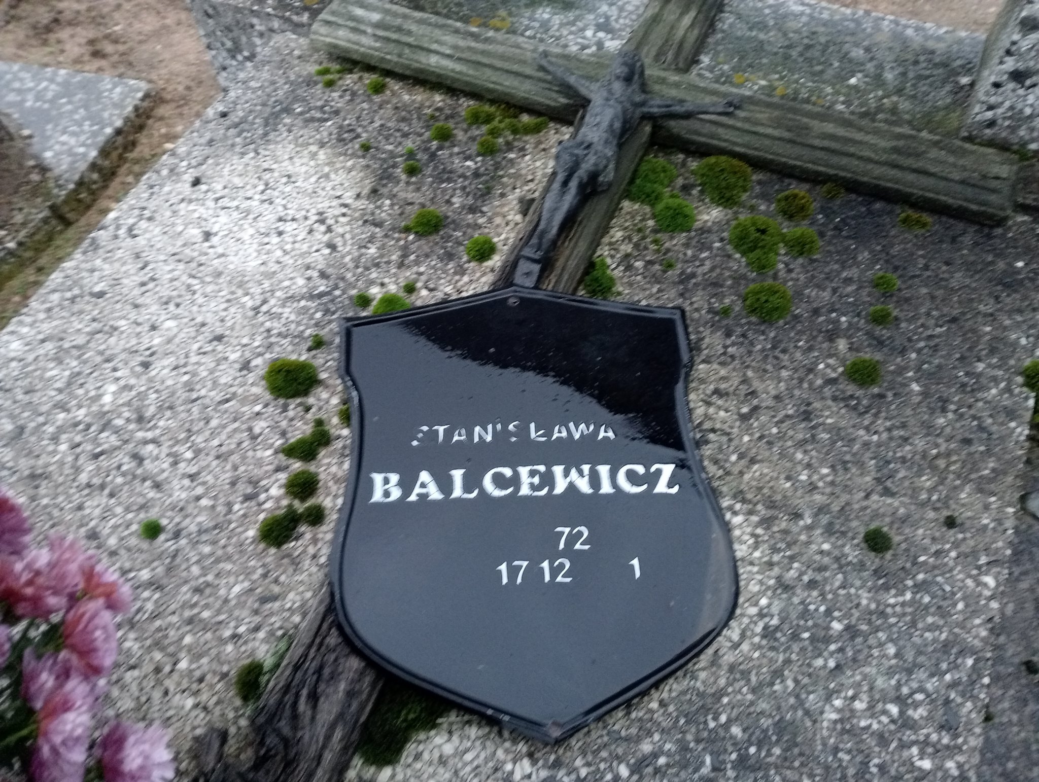 Stanisława Balcewicz Pleszew - Grobonet - Wyszukiwarka osób pochowanych