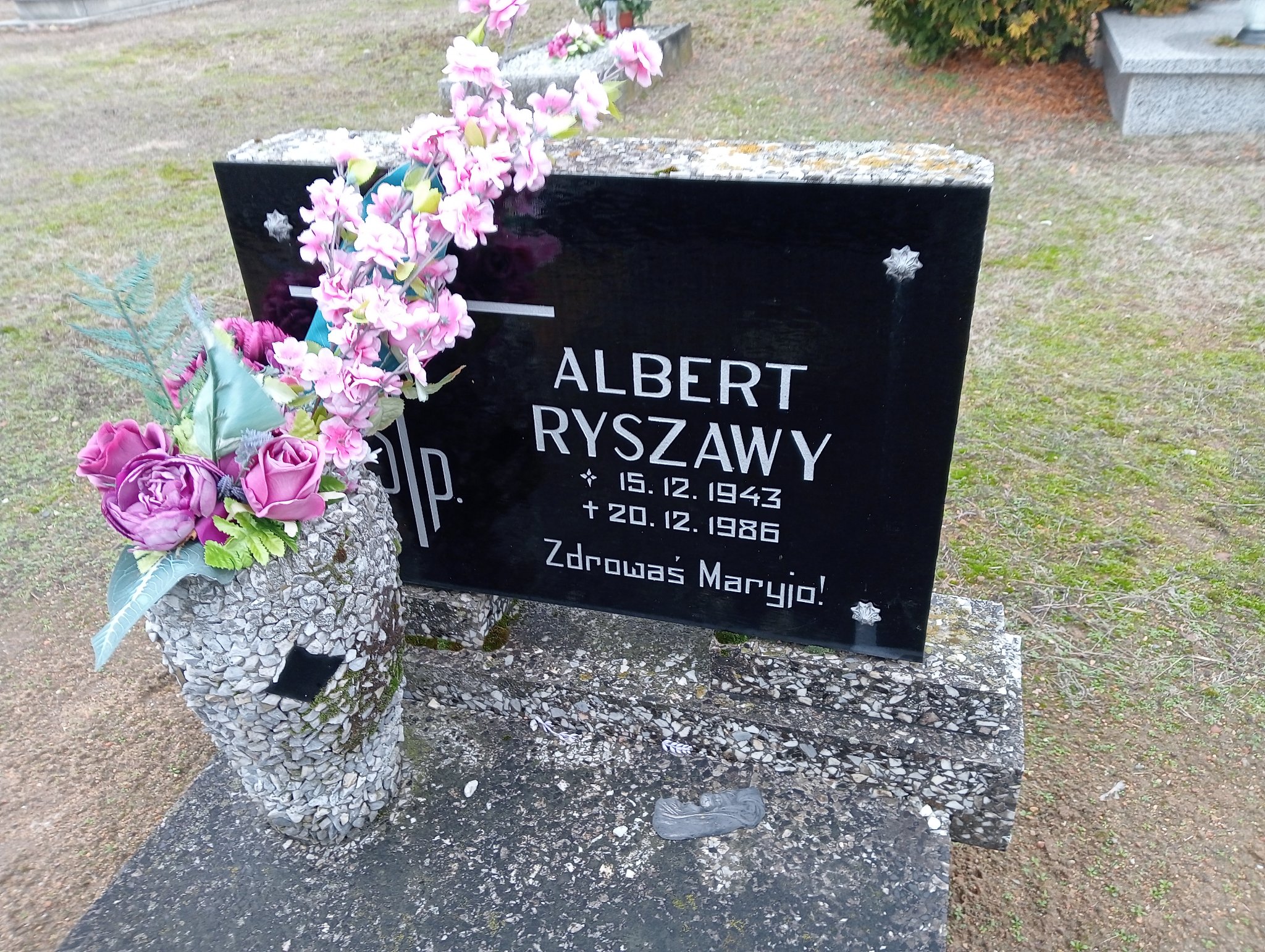 Albert Ryszawy 1943 Pleszew - Grobonet - Wyszukiwarka osób pochowanych