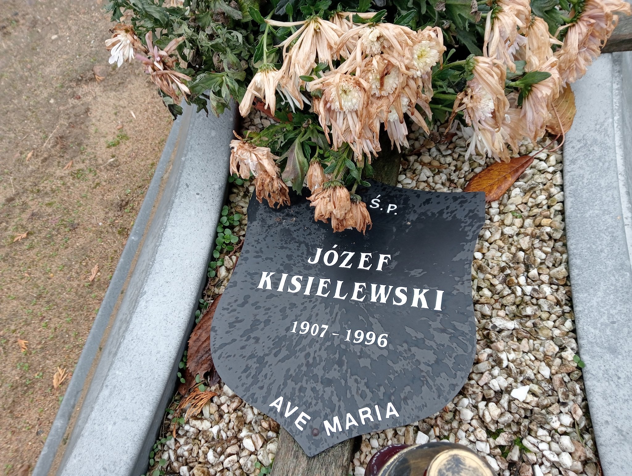 Józef Kisielewski Pleszew - Grobonet - Wyszukiwarka osób pochowanych