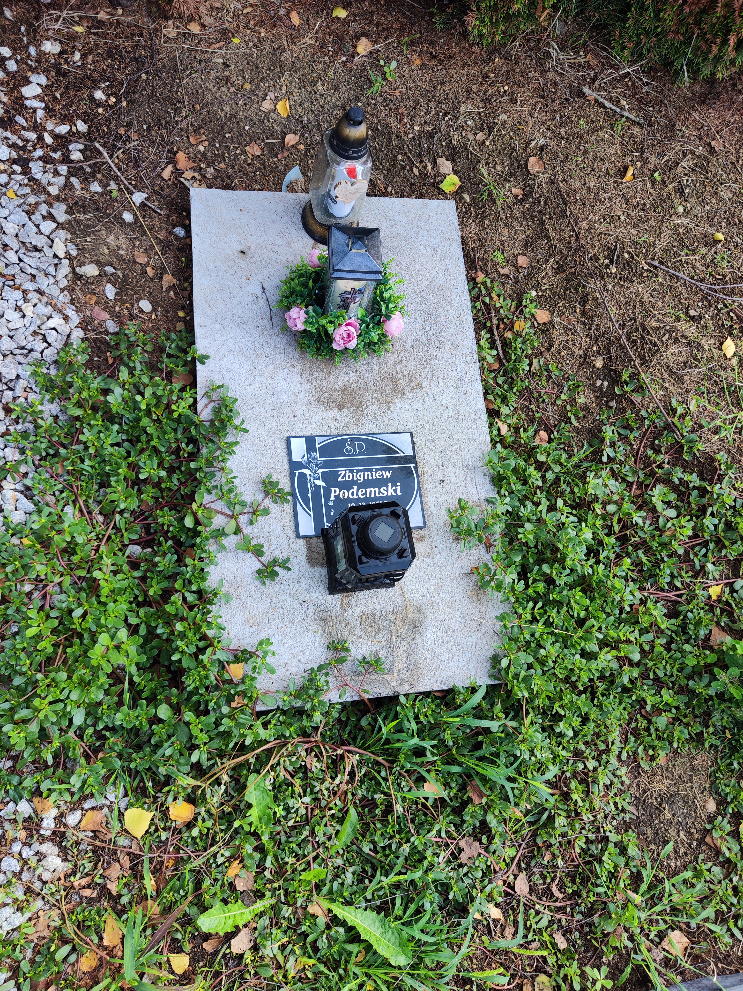  - Grobonet - kup kwiaty