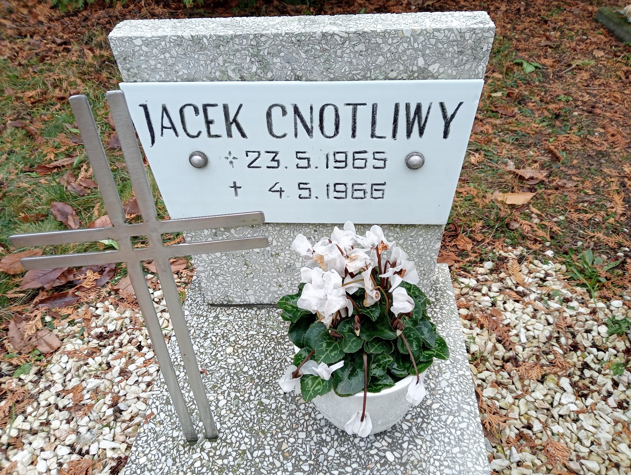 Jacek Cnotliwy 1965 Pleszew - Grobonet - Wyszukiwarka osób pochowanych
