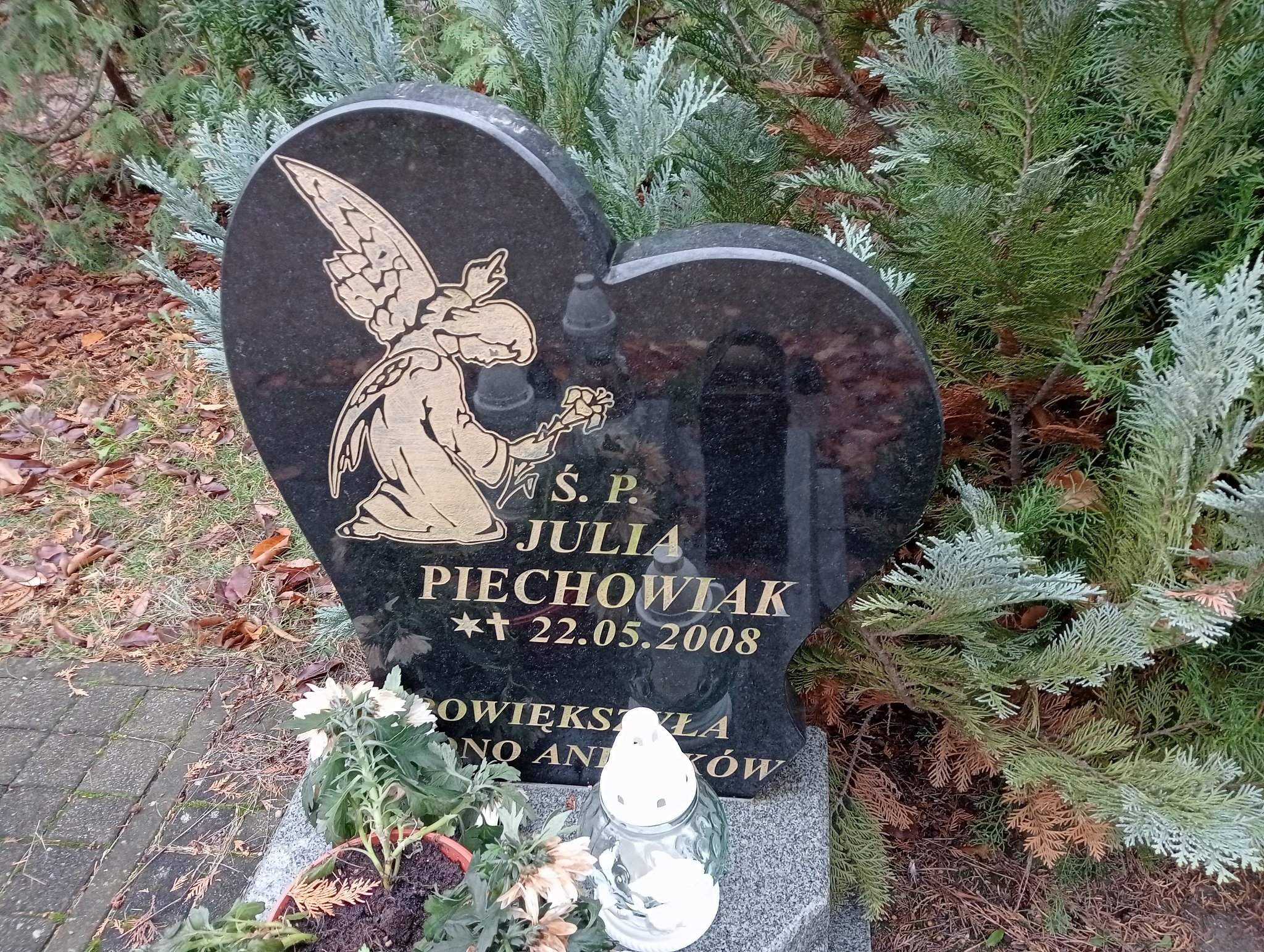 Julia Piechowiak Pleszew - Grobonet - Wyszukiwarka osób pochowanych